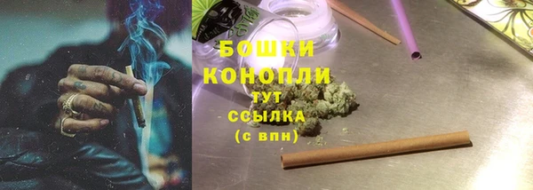 шишки Балахна