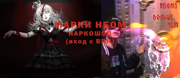 шишки Балахна