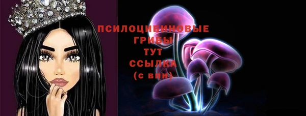 шишки Балахна