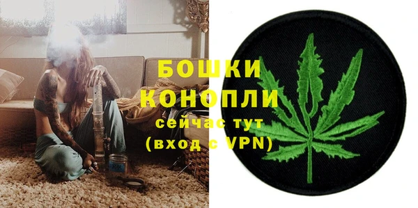 шишки Балахна